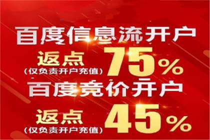 百度搜索推广实战经验：经典案例启示录